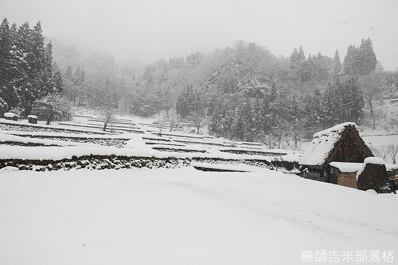 Shirakawa_170113_066.jpg