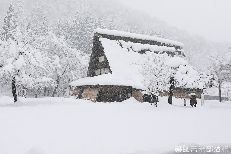 Shirakawa_170113_365.jpg