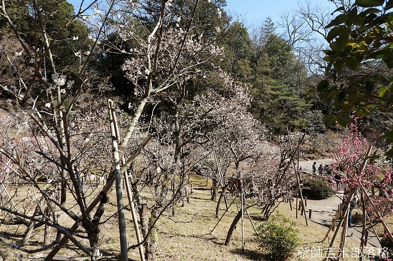 Narita_1702_0504.jpg