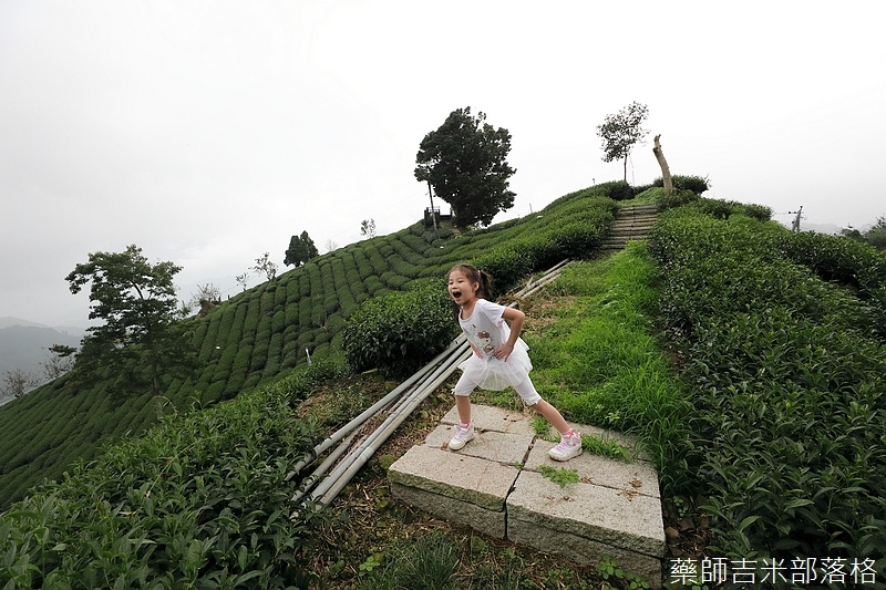 Chiayi_Tea_159.jpg