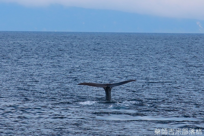 Hokkaido_170907_589.jpg