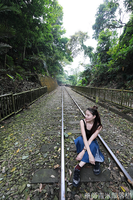 alishan_railway_0235.jpg