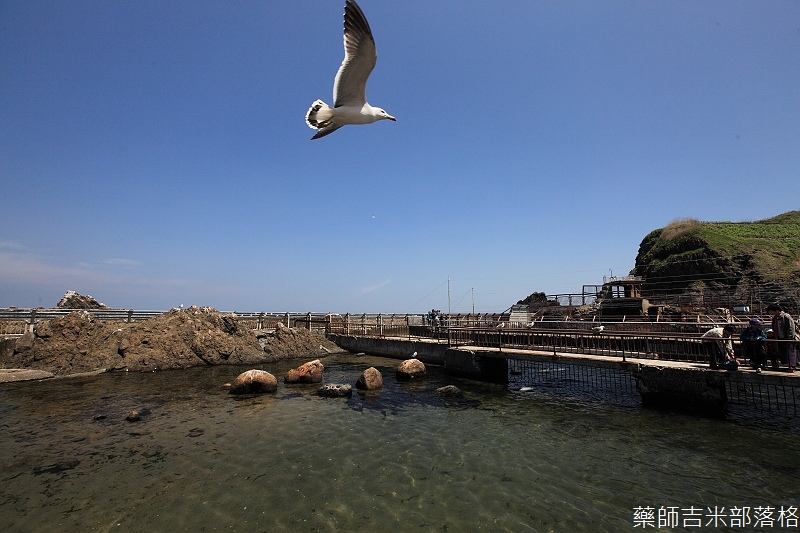 Otaru_Aquarium_176