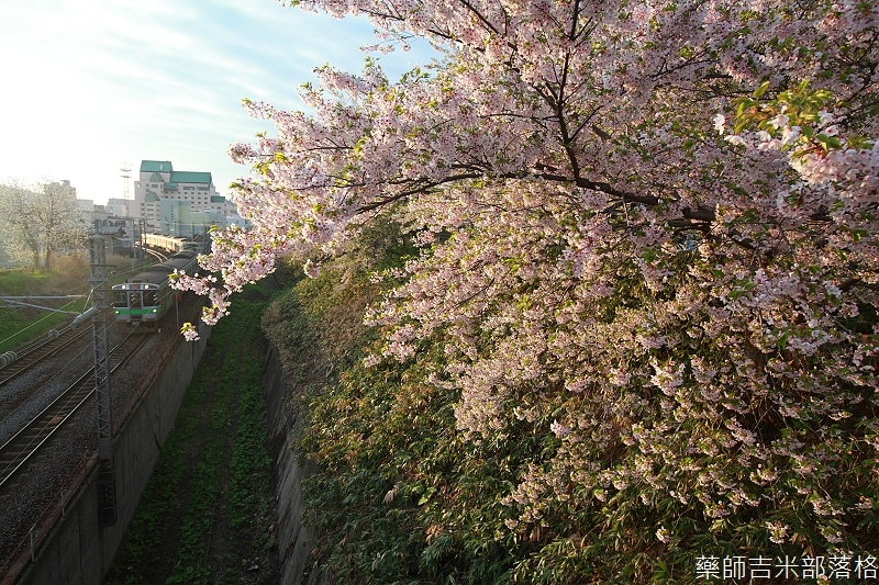 OTARU_1_338