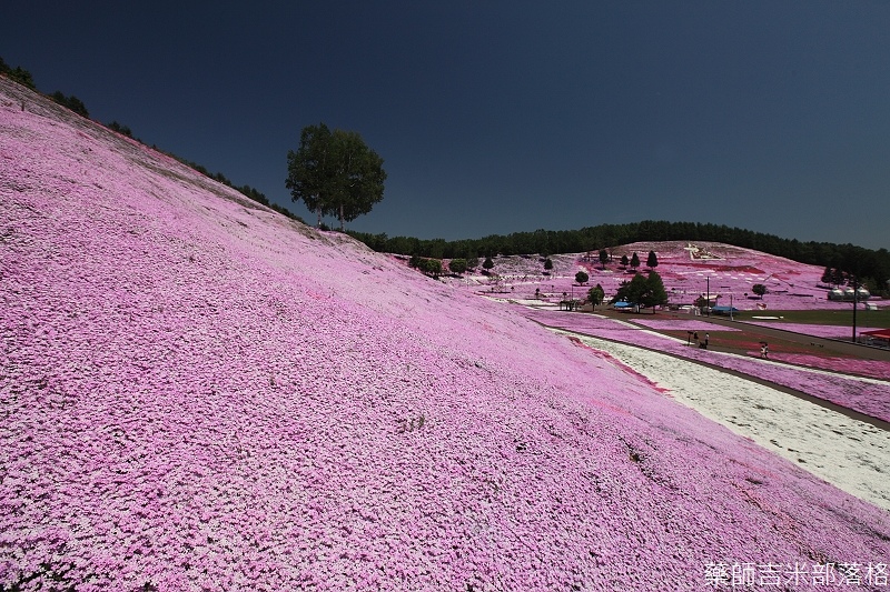 Hokkaido_12_073