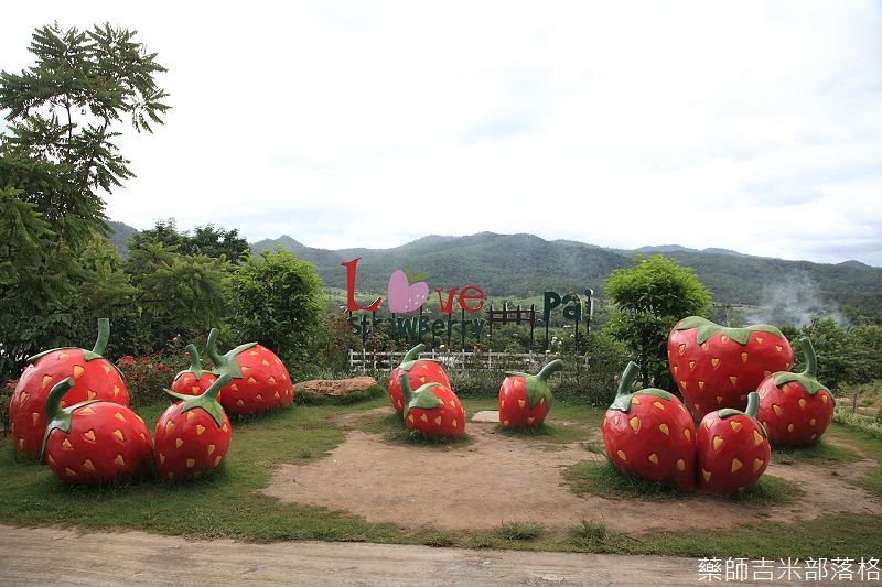 thailand_pai_2013_01_203