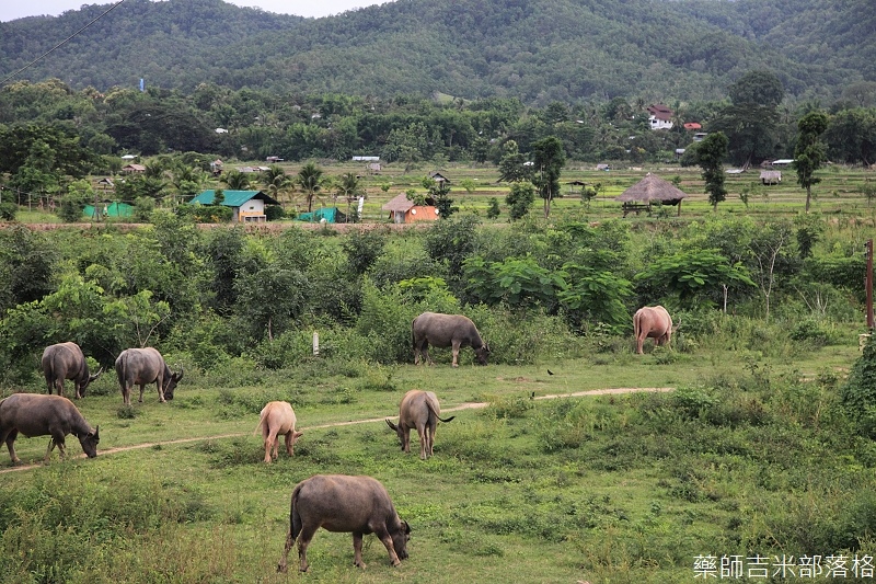 thailand_pai_2013_01_368