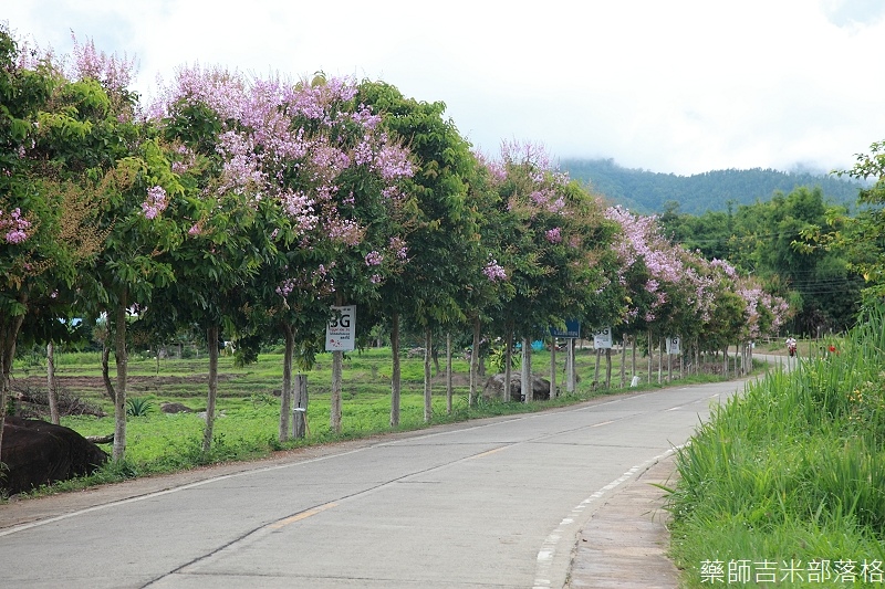 thailand_pai_2013_02_092