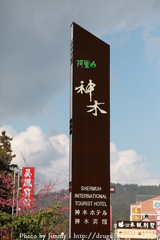 阿里山神木賓館 阿里山櫻花季 阿里山住宿 阿里山賓館