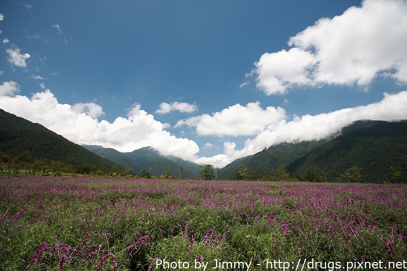 武陵農場 武陵富野渡假村