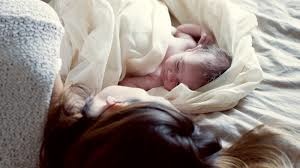 imagesDSF3NO3L.jpg imagesDSF3NO3L.jpg