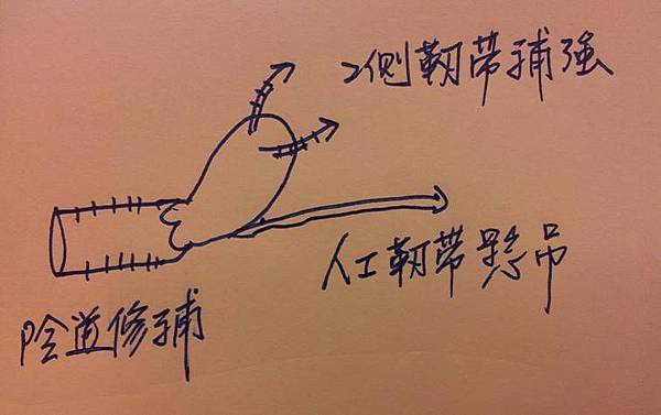 圖片1 圖片1