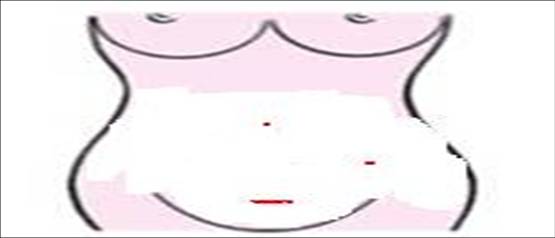 圖片4.jpg 圖片4.jpg