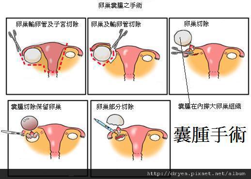 圖片9.jpg 圖片9.jpg