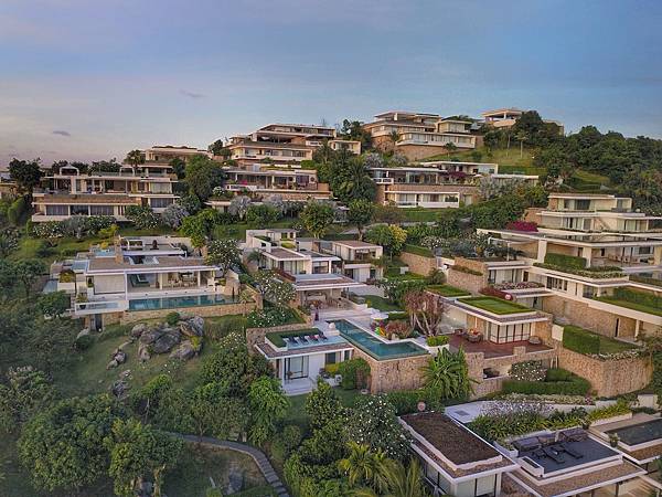 WhatsApp Image 2018-03-03 at 21.05.02.jpeg