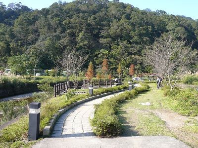 坪林