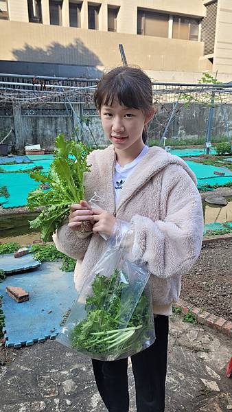 小組獎勵 & 小田園第三次採收