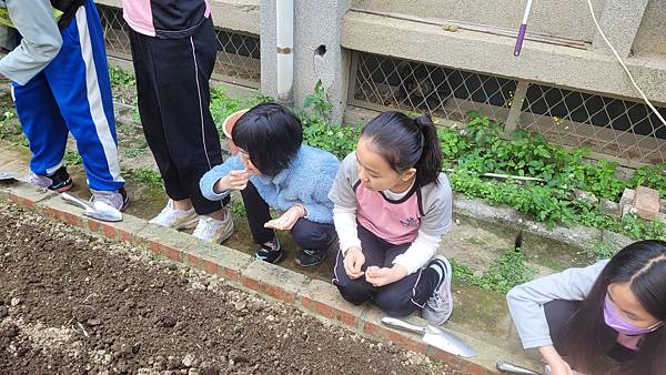 小田園紀錄--四季豆(1)