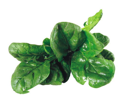 spinach-1327540.jpg