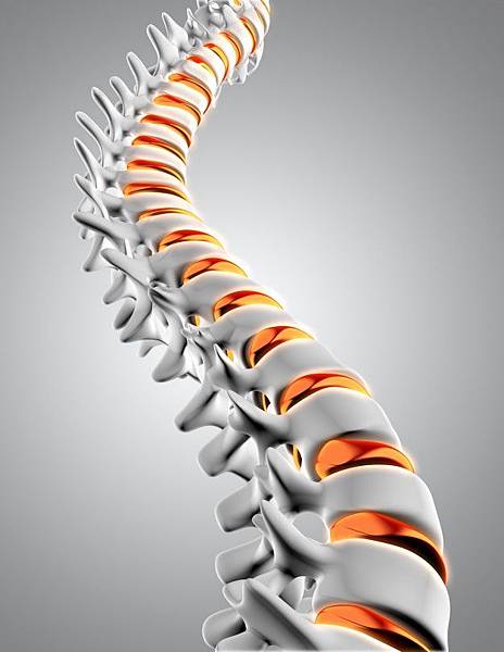 3d-spine_1048-4916.jpg 3d-spine_1048-4916.jpg
