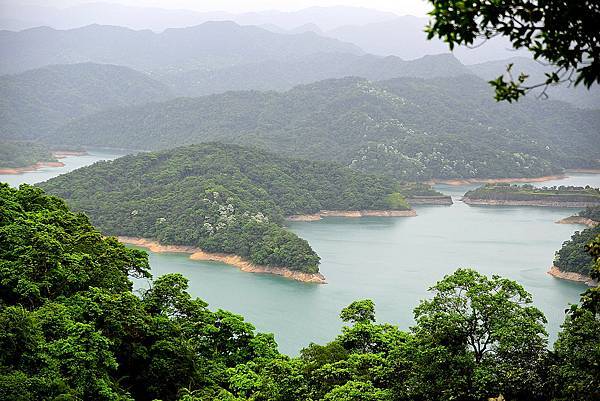 鱷魚島.jpg