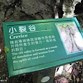 社頂自然公園6.jpg