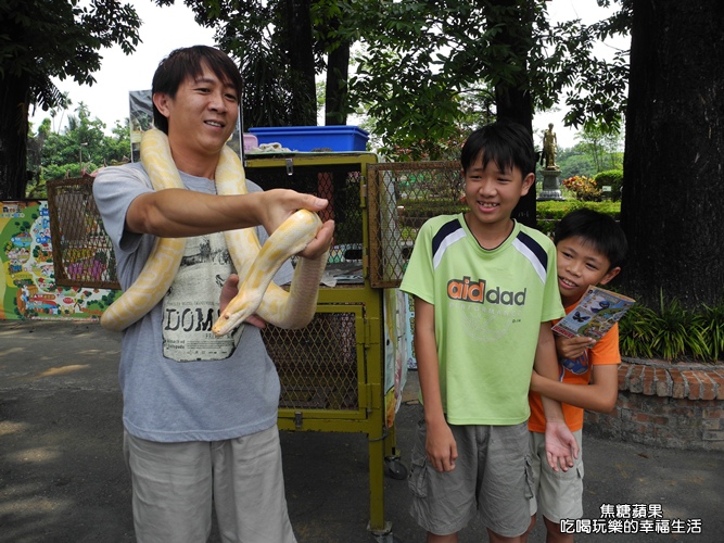 八大森林樂園7.jpg