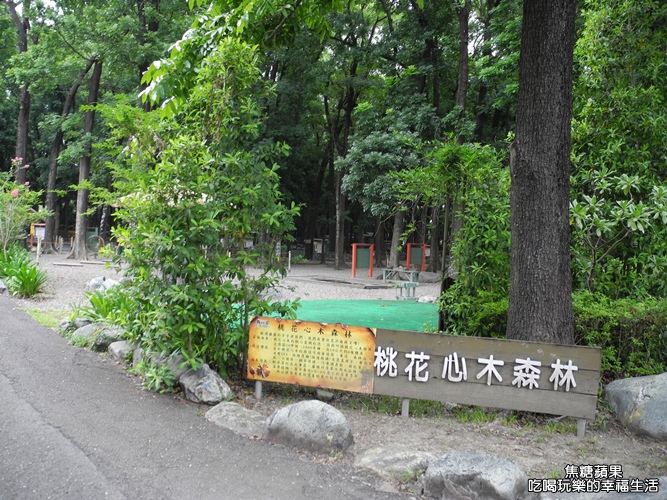 八大森林樂園27.jpg