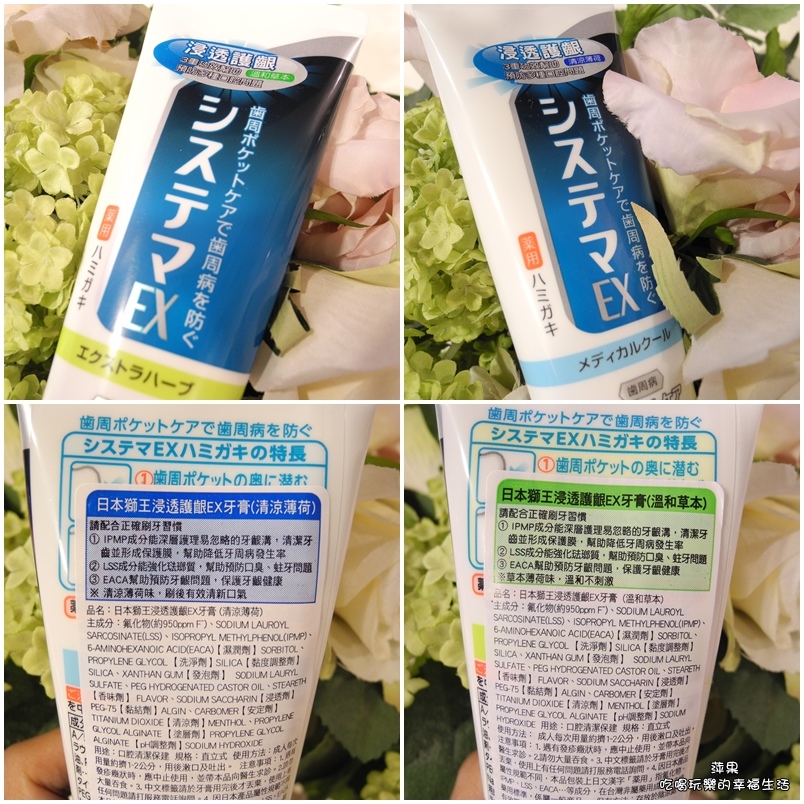 LION日本獅王 浸透護齦EX牙膏2.jpg