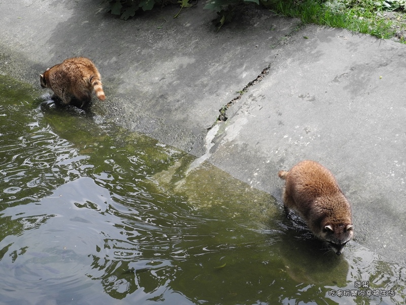 花蓮兆豐農場13.jpg