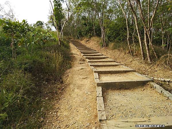 龜山步道3.jpg