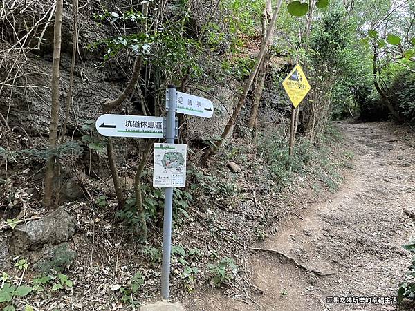 山步道7.jpg