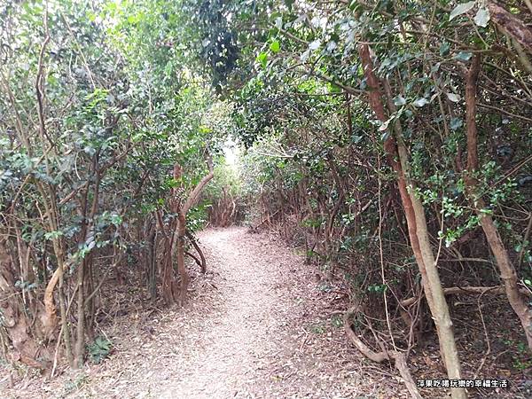 龜山步道10.jpg