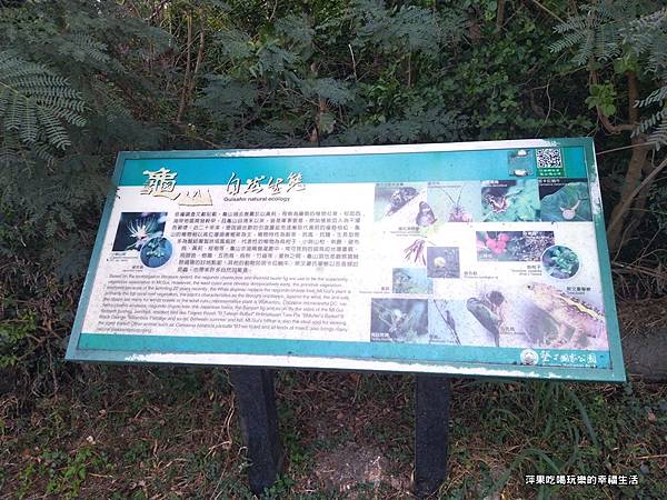 山步道19.jpg