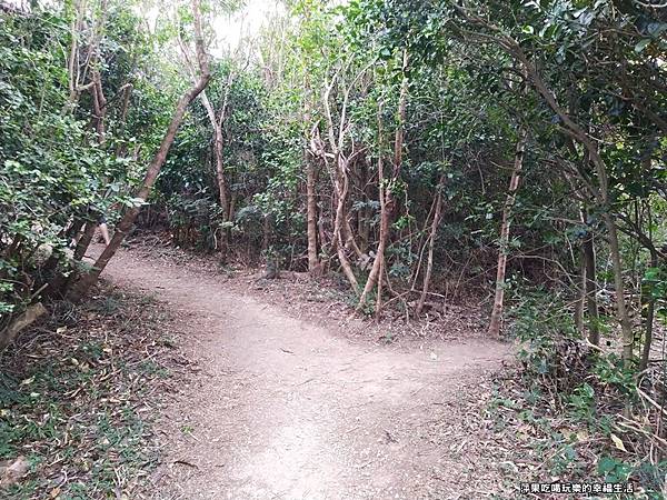 山步道21.jpg