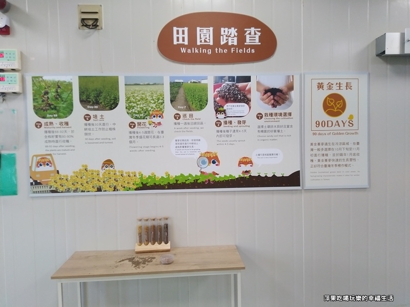 金探索4.jpg 金探索4.jpg
