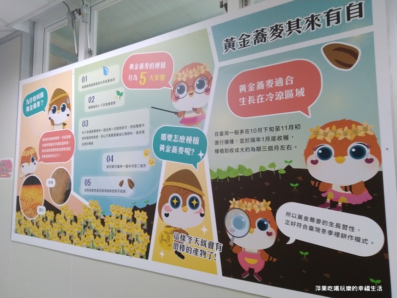 金探索7.jpg 金探索7.jpg