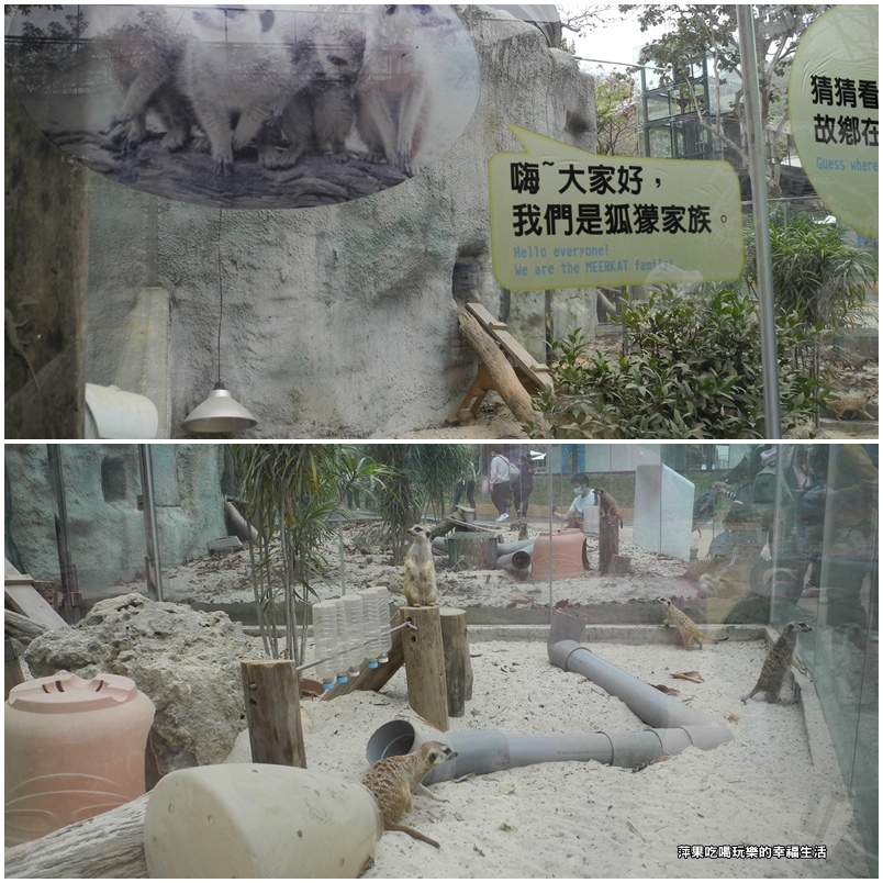 壽山動物園9.jpg