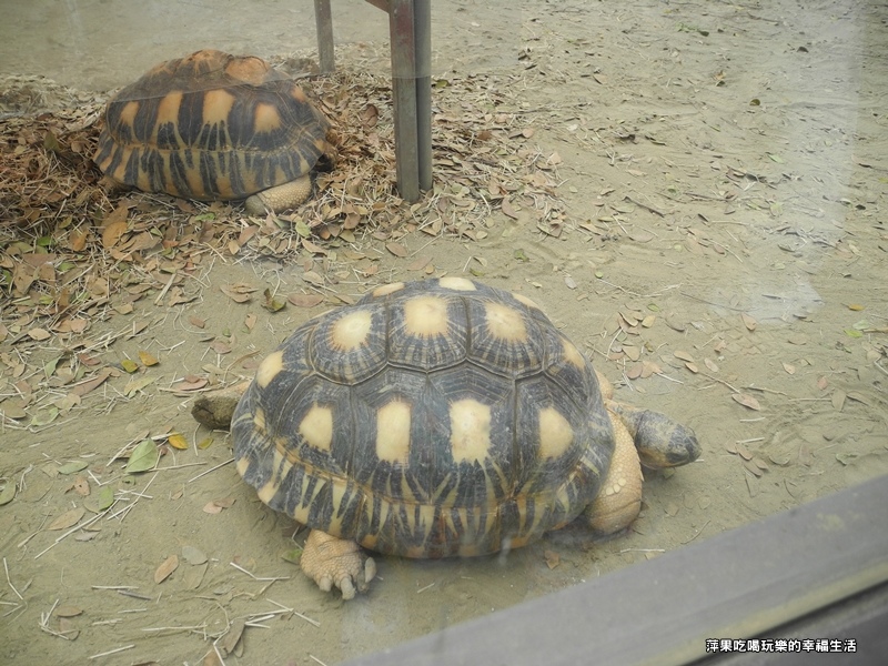 壽山動物園17.jpg