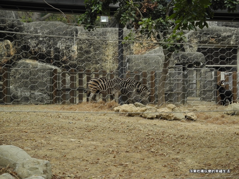 壽山動物園23.jpg