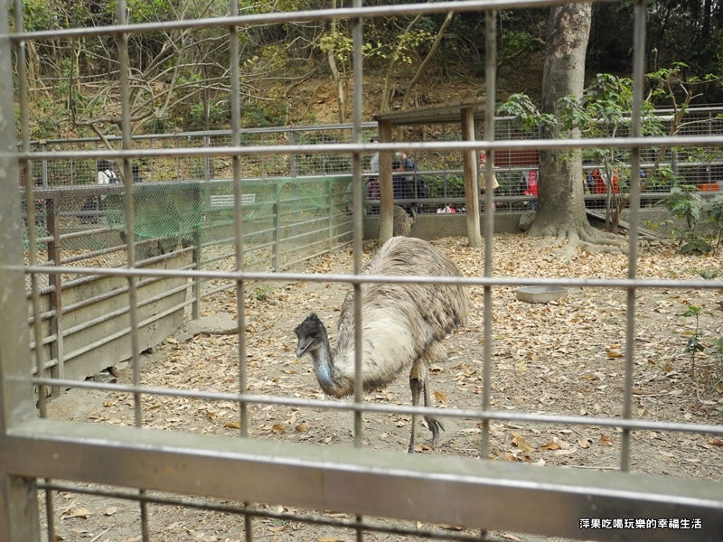 壽山動物園27.jpg