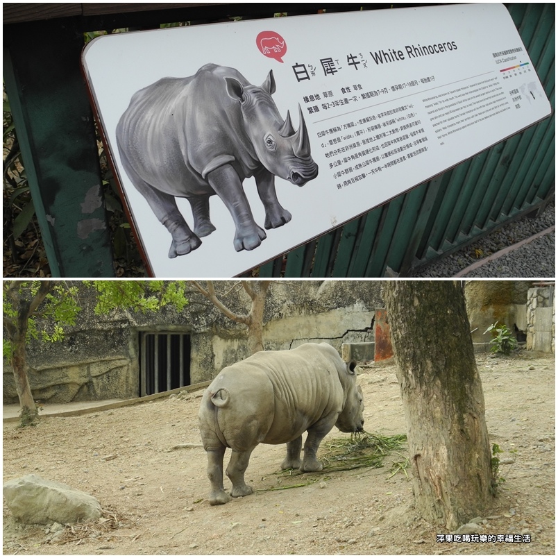 壽山動物園28.jpg