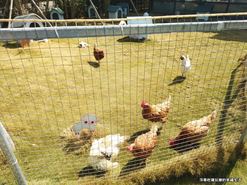 果然茶香觀光園區8.jpg