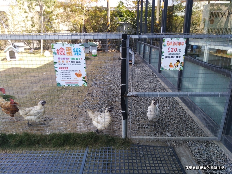 果然茶香觀光園區9.jpg