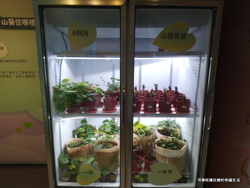 青青山丘山葵知4.jpg