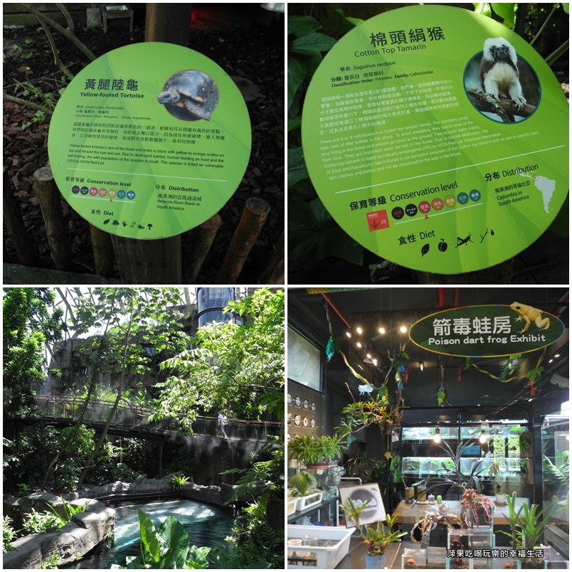 【台北市。文山區】台北動物園16.jpg