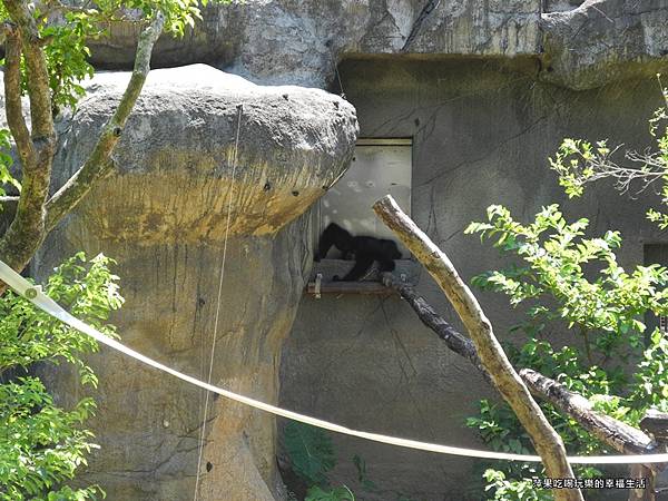 【台北市。文山區】台北動物園18.jpg