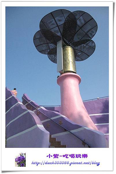 星願紫風車 (12).jpg
