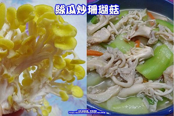 珊瑚菇料理-拼圖.jpg 珊瑚菇料理-拼圖.jpg