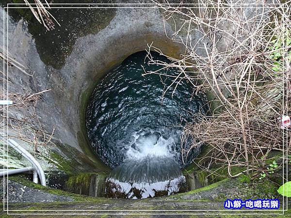 水利生態步道26.jpg